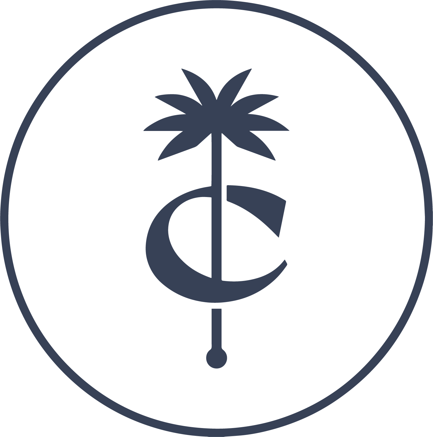 Cocana Icon Blue